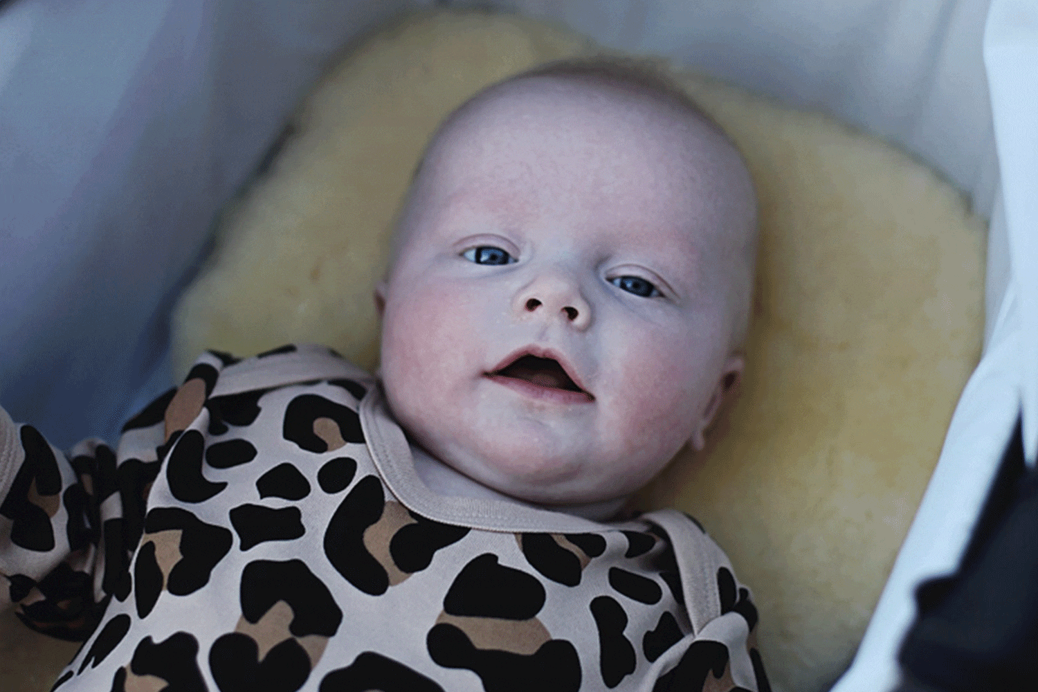 PRAM3.gif