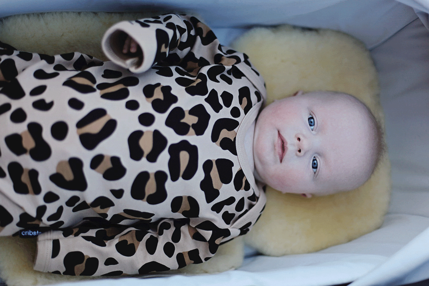 PRAM5.gif