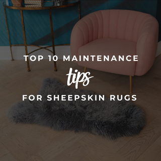 Top 10 maintenance tips for sheepskin rugs