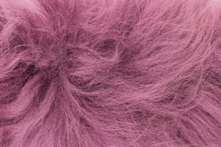 Slipkit Pick and Mix Sheepskin