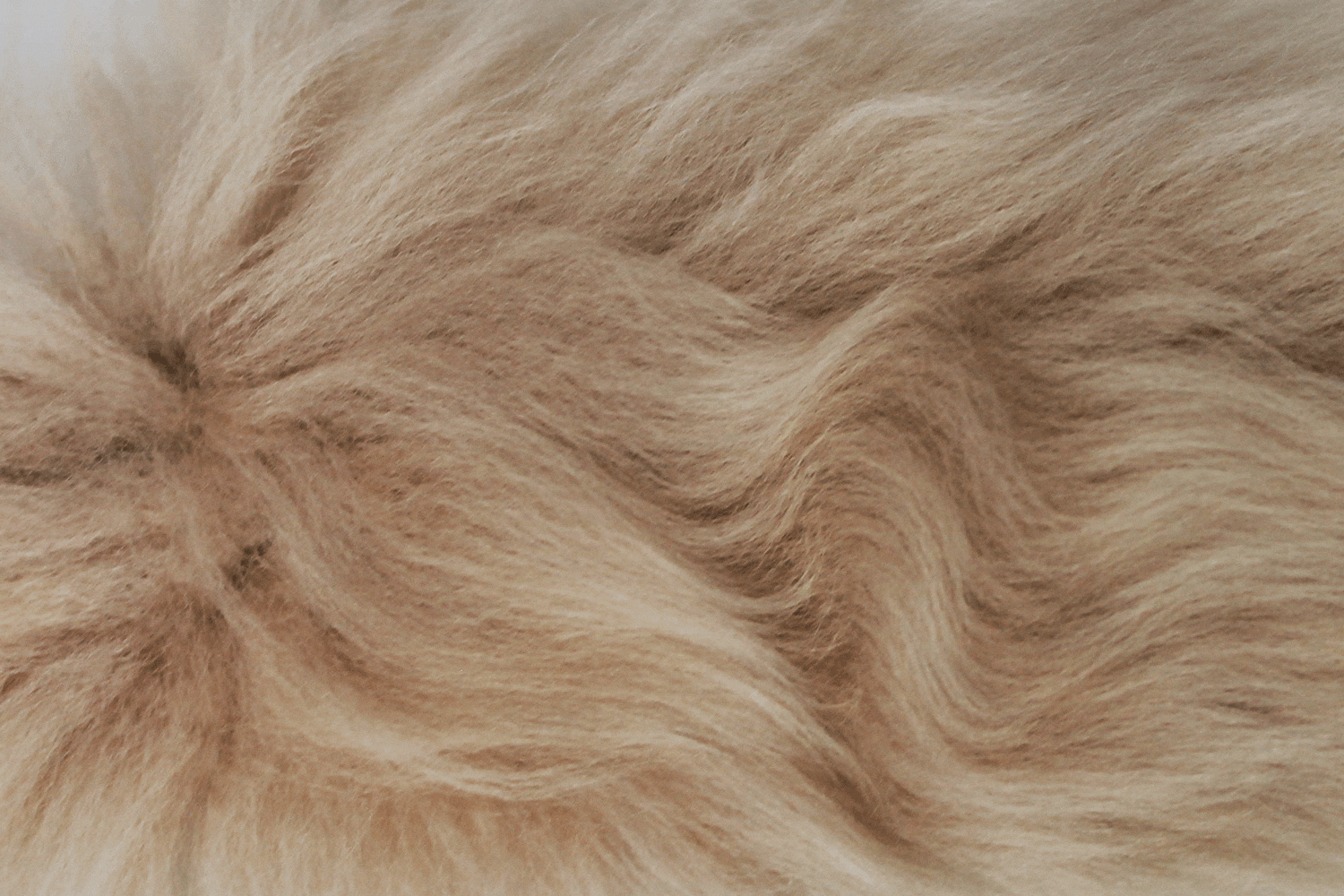 Slipkit Pick and Mix Sheepskin