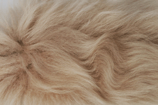 Slipkit Pick and Mix Sheepskin