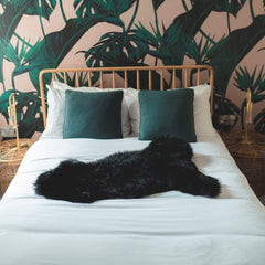 Black sheepskin rug