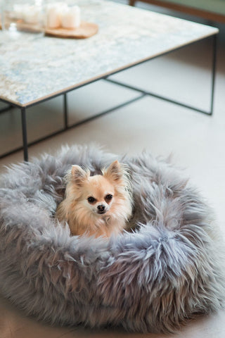 Grey Sheepskin pet bed