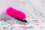 poppy2.gif